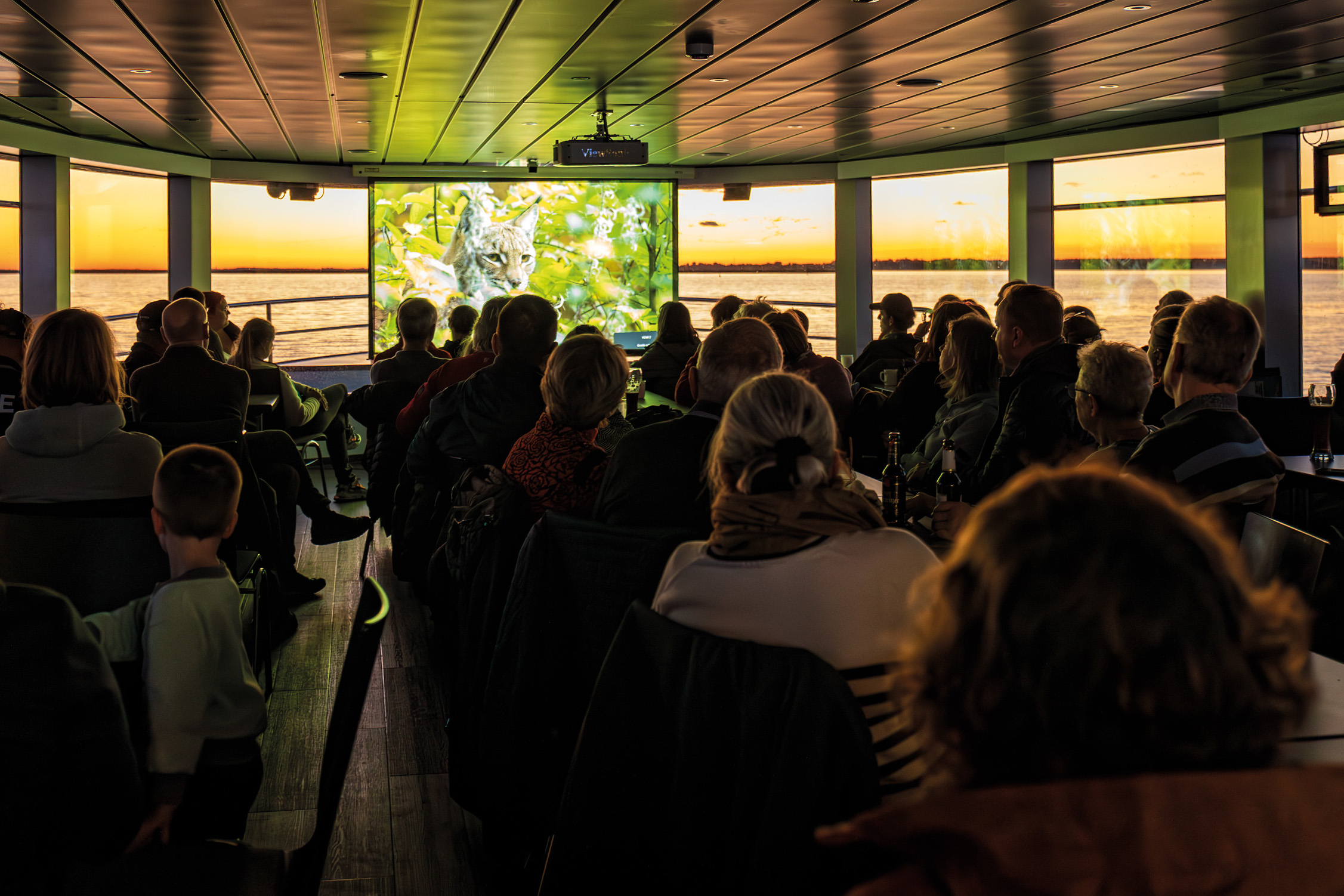 Oscar ist ein Kranich